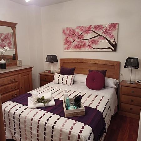 Apartamento Penedo, Camino Portugus-Con Plaza De Garaje Gratis Santiago de Compostela Exterior photo