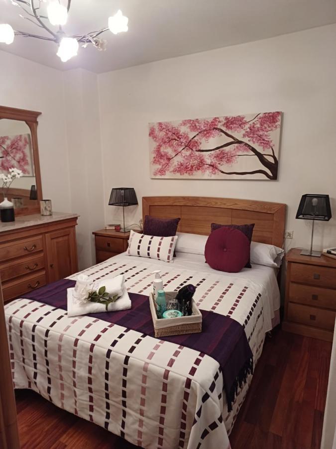 Apartamento Penedo, Camino Portugus-Con Plaza De Garaje Gratis Santiago de Compostela Exterior photo